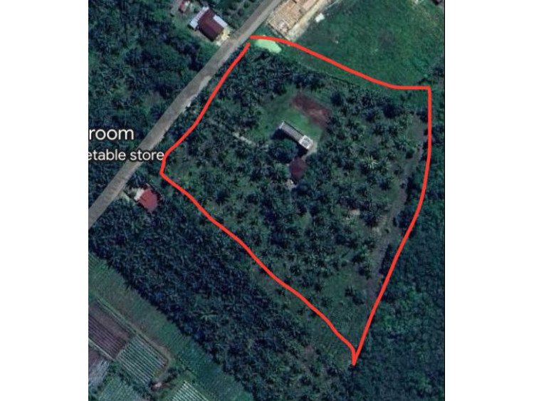 Di Jual Tanah 2Hektar Di Jl.Seroja Kulim