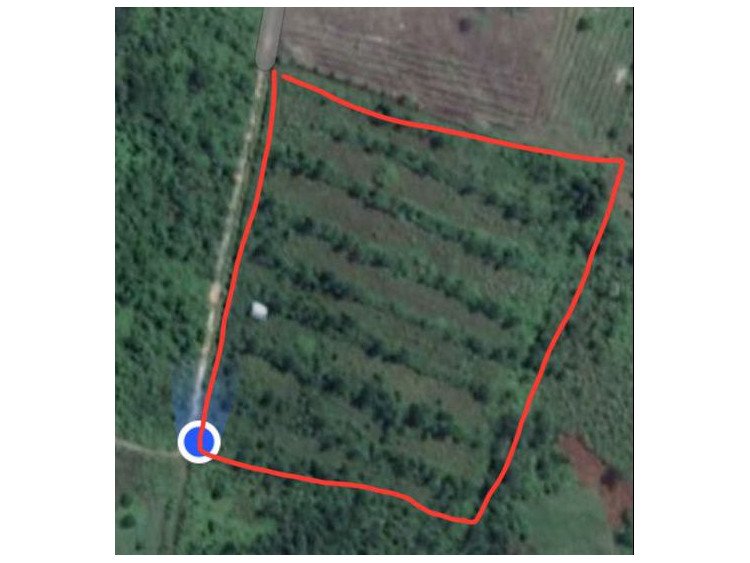 Di Jual Tanah 2Hektar Di Jl.Garuda Sakti KM10,6