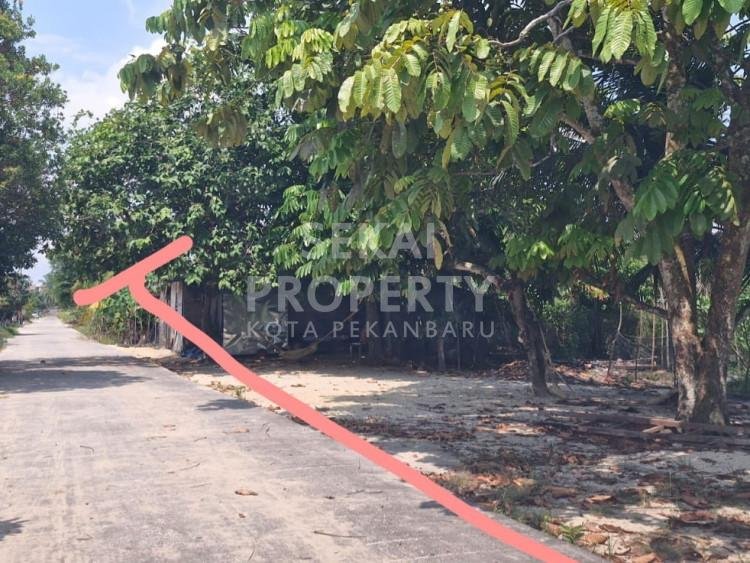 DIJUAL SEBIDANG TANAH COCOK BANGUN PERUMAHAN LOKASI DI KUBANG RAYA-PEKANBARU
