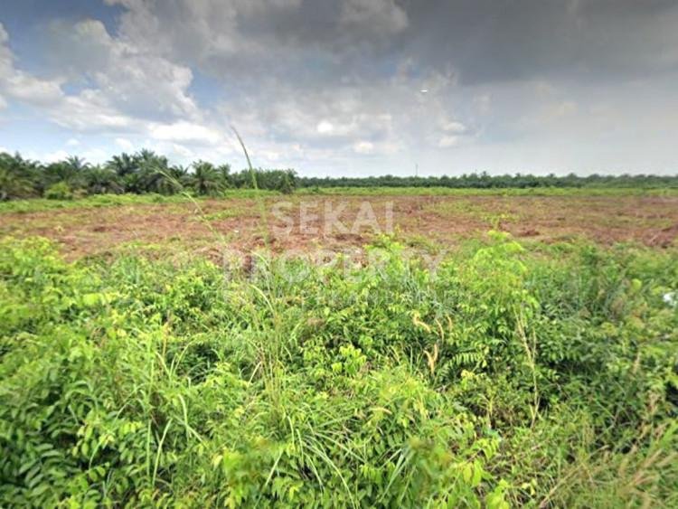 DIJUAL SEBIDANG TANAH LUAS LOKASI JL.LINTAS TIMUR - KERINCI