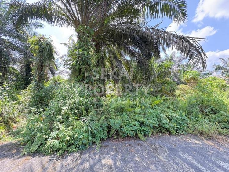 Dijual Tanah di Jl. Tengku Maharatu