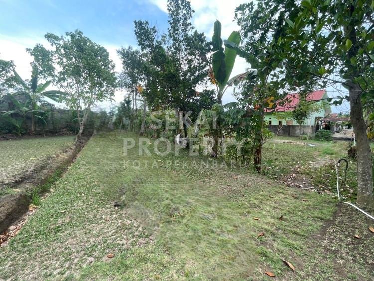 Di Jual sebidang tanah Lokasi Jalan Rawa Indah simpang 3 tengah kota Pekanbaru