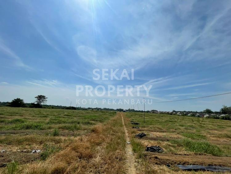 Di Jual Sebidang tanah lokasi Jalan Palembang ( Hangtuah Kulim ) tengah kota Pekanbaru