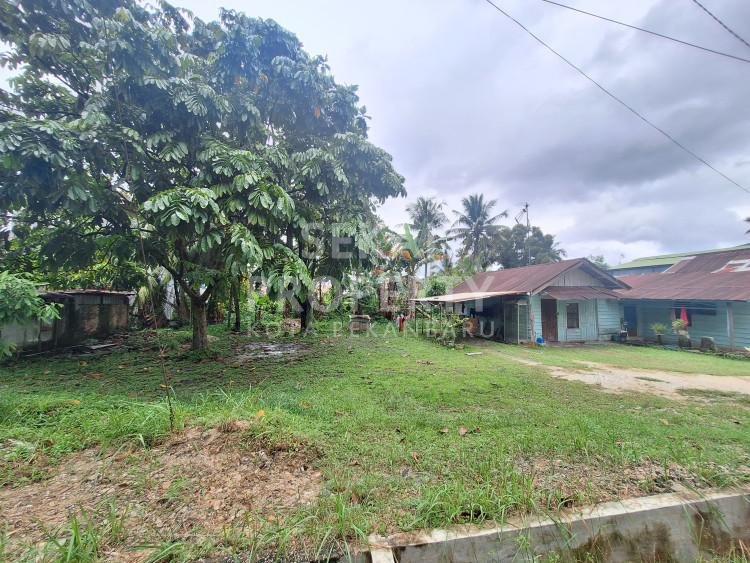 Lihat semua foto
