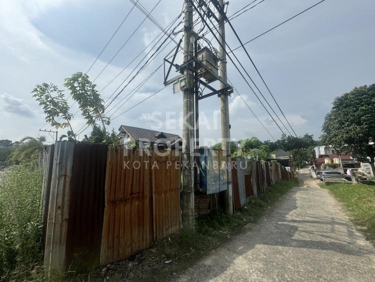 Lihat semua foto