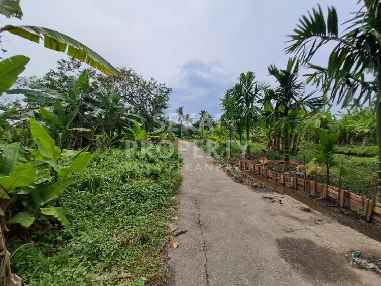 DIJUAL/DISEWAKAN SEBIDANG TANAH LUAS LOKASI TEPI JALAN SOEKARNO HATTA-PEKANBARU
