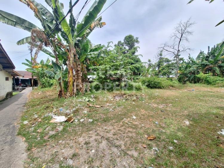 Lihat semua foto