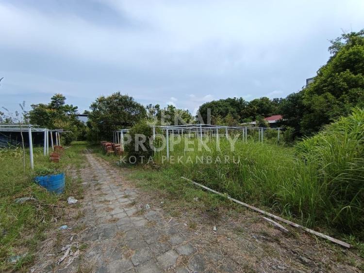 Dijual Tanah Luas 1974m2 di Riau Ujung