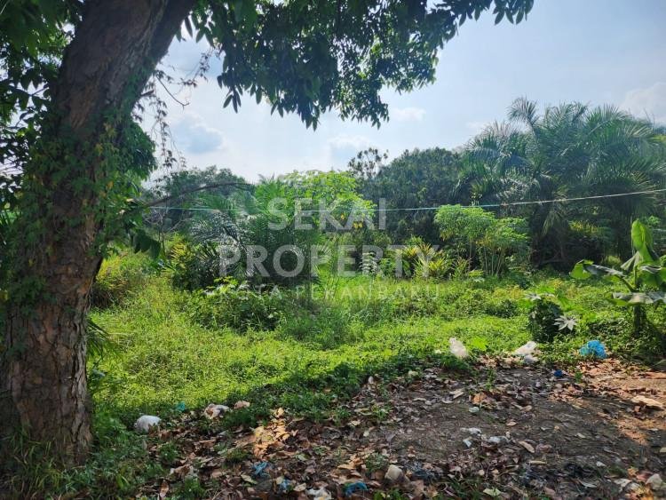 DIJUAL SEBIDANG TANAH LOKASI TEPI JALAN BESAR JALAN SM. AMIN - PEKANBARU