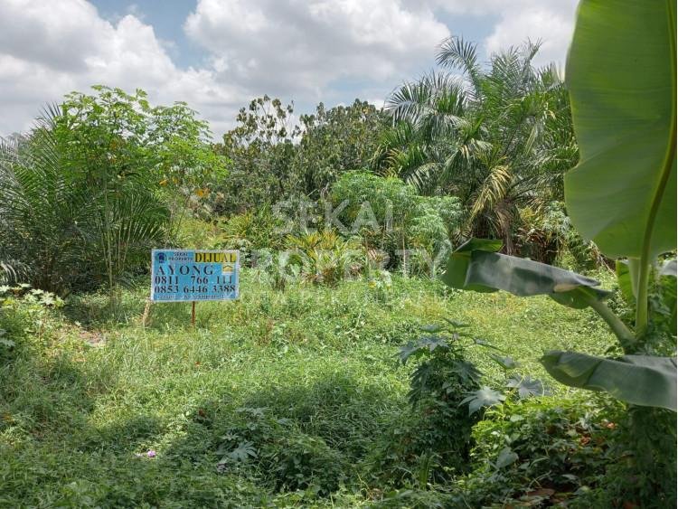 DIJUAL SEBIDANG TANAH LOKASI TEPI JALAN BESAR JALAN SM. AMIN - PEKANBARU