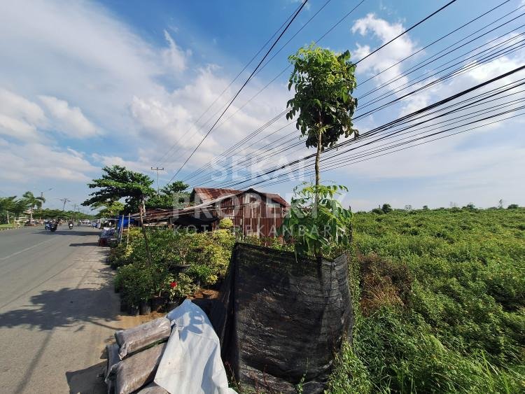 DIJUAL/DISEWAKAN SEBIDANG TANAH TEPI JALAN YOS SUDARSO/RUMBAI-PEKANBARU