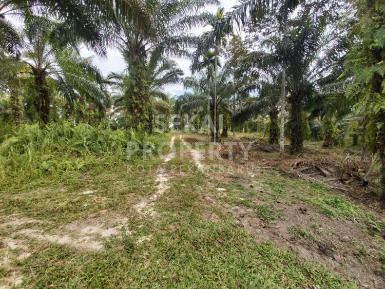 Dijual Tanah Murah Di Palas - Pekanbaru