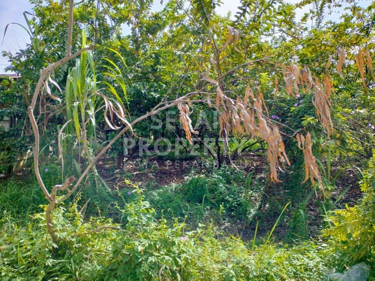 Dijual Sebidang Tanah Di Tepi Jalan Aspal Jl. Soekarno Hatta
