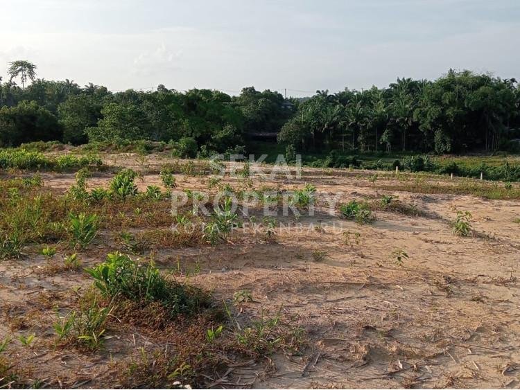 DIJUAL SEBIDANG TANAH KERAS DI MUARA FAJAR JL.PEMASYARAKATAN-PEKANBARU