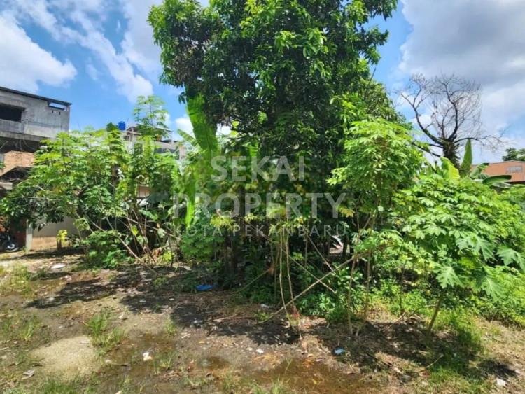 DIJUAL CEPAT SEBIDANG TANAH LOKASI JALAN HARAPAN RAYA/IMAM MUNANDAR-PEKANBARU