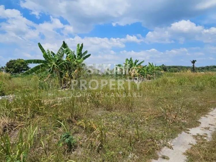 DIJUAL CEPAT SEBIDANG TANAH LUAS LOKASI MANDAU/DURI - RIAU