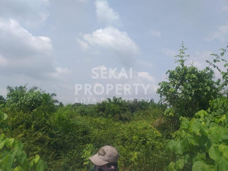 Di jual tanah untuk lahan sawit Siak kecik kec Bunga Raya temusai siak kab Bengkalis