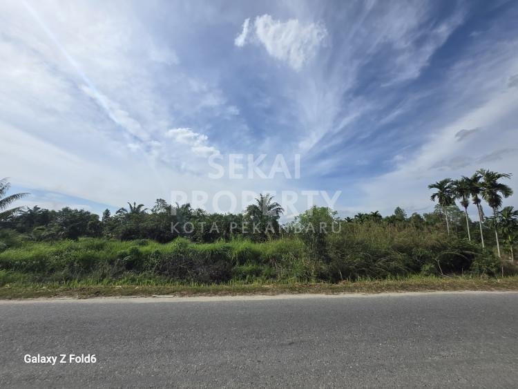 DIJUAL TANAH LOKASI DEKAT JL.NELAYAN - RUMBAI