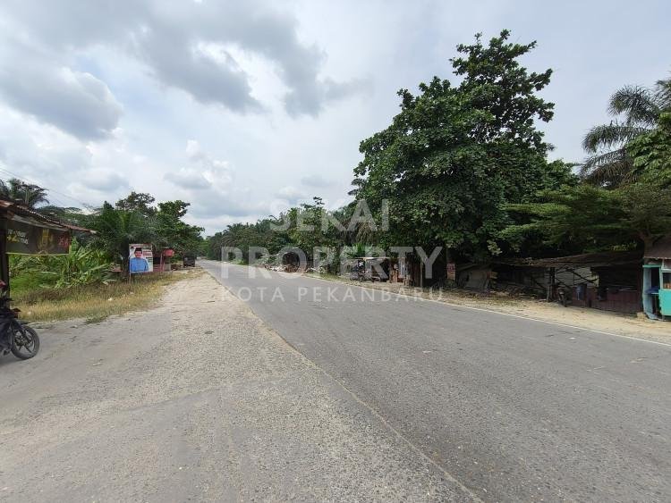 DIJUAL TANAH TEPI JALAN LOKASI PASIR PUTIH