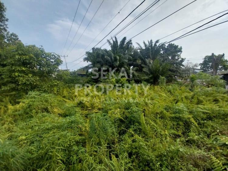 DI JUAL TANAH JL SOEKARNO HATTA PEKANBARU