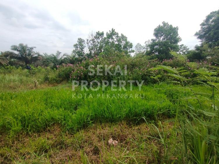Dijual Tanah lokasi Jl. Paus / Rumbai - Pekanbaru