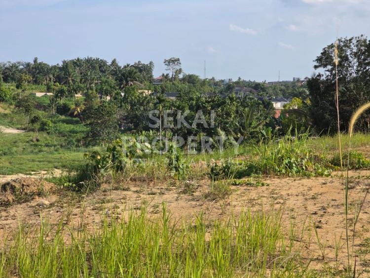 Dijual Tanah 2.5 Ha di Jl. Kelapa - Hangtuah