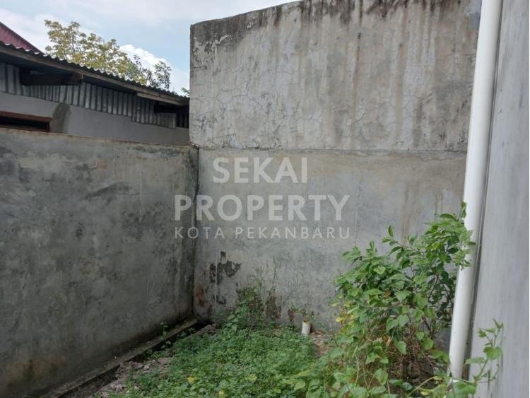 Lihat semua foto