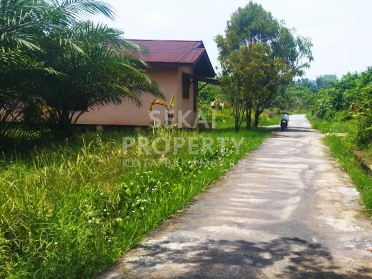 DIJUAL TANAH KAPLING TEPI ASPAL LOKASI JL.PESISIR - PEKANBARU