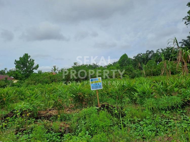 DIJUAL SEBIDANG TANAH COCOK BANGUN PERUMAHAN DI JL.DHARMA BAKTI UJUNG-PEKANBARU