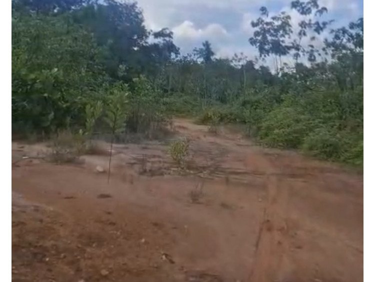 DIJUAL LAHAN SIAP BANGUN JL LIMBUNGAN RUMBAI