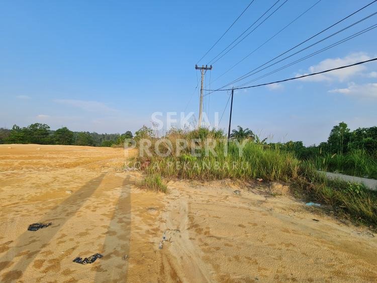 Lihat semua foto