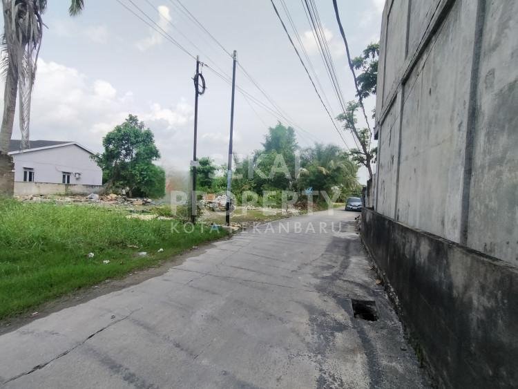 Disewakan Tanah Atau Lahan Siap Pakai Dekat Jl.Paus