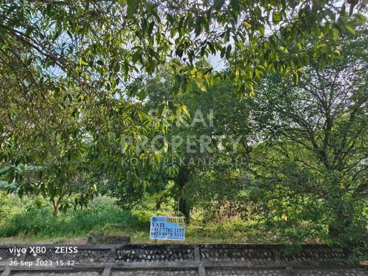 DIJUAL TANAH DI JALAN SIMPANG TIGA PEKANBARU