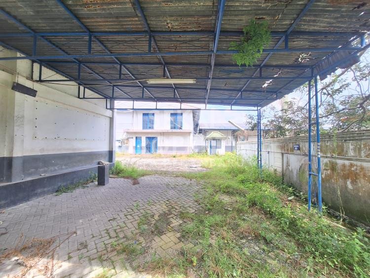 Foto 6