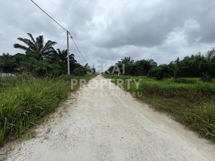 Dijual Tanah Lokasi Riau Baru