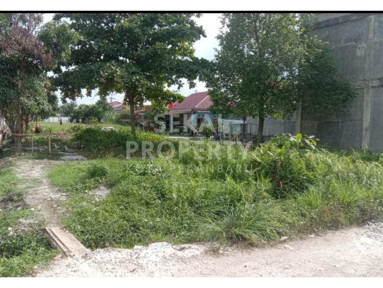 Dijual tanah di Jl. Purwodadi / Panam