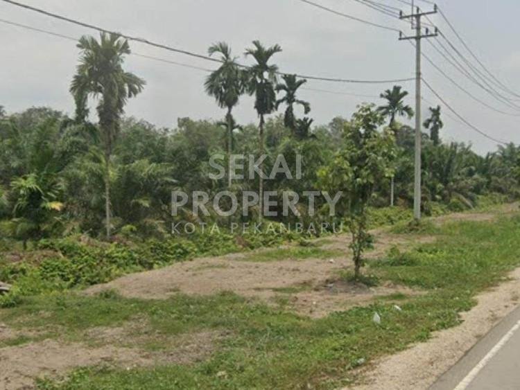 DIJUAL TANAH DI JALAN BUATAN SIAK