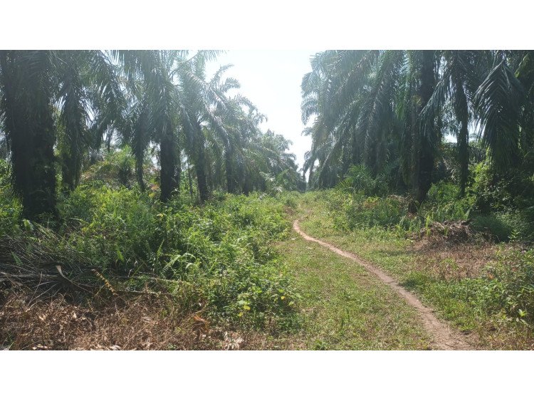 DIJUAL SEBIDANG TANAH DI KARYA INDAH TAPUNG PEKANBARU