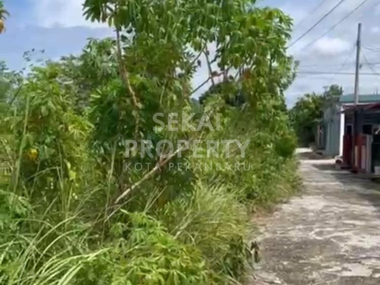 DIJUAL SEBIDANG TANAH KERAS LOKASI JL.SANGGUL SIMPANG BARU/UKA - PEKANBARU