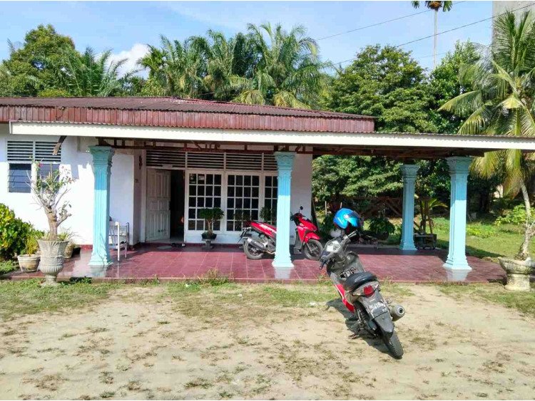 Lihat semua foto