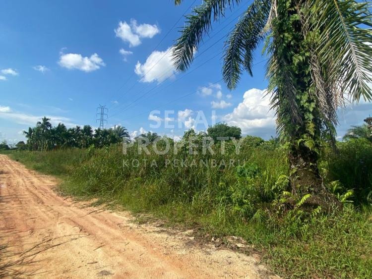 DIJUAL SEBIDANG TANAH LOKASI JL.SENTOSA-SIDORUKUN UJUNG-PEKANBARU