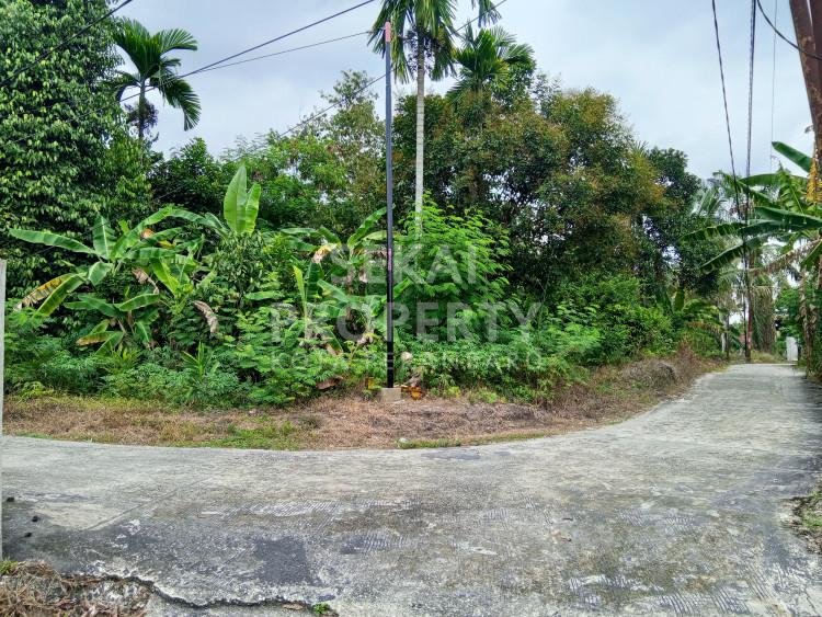 DIJUAL TANAH Luas 14.410 m2 JL.PEMUDA dekat JL.HANGTUAH (cocok utk lokasi perumahan)