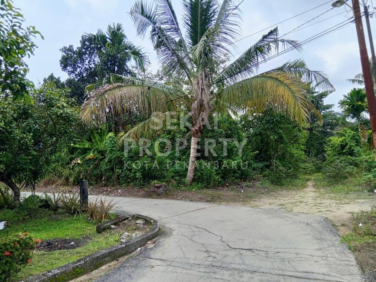 DIJUAL TANAH Luas 14.410 m2 JL.PEMUDA dekat JL.HANGTUAH (cocok utk lokasi perumahan)