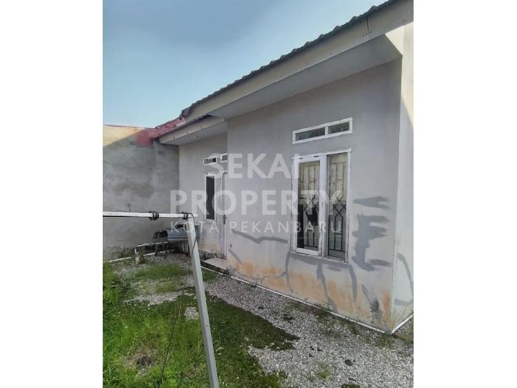 Lihat semua foto