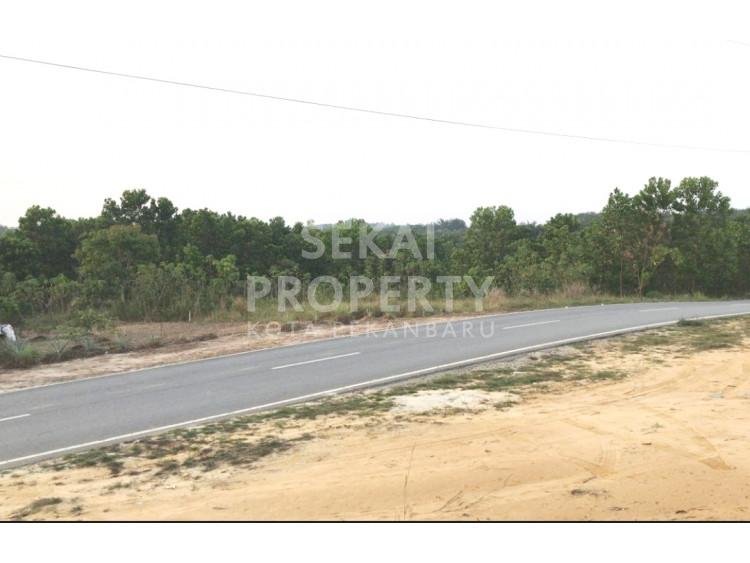Dijual sebidang tanah ditepi jalan aspal Jl. Raja Panjang - Rumbai / Pekanbaru