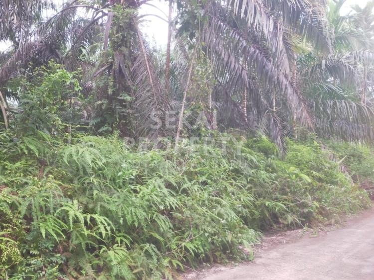 Dijual Tanah Pemakaman