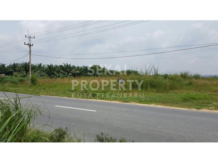 Di Jual Tanah di Tepi Jalan Besar Pasir Putih. Pekanbaru. Riau
