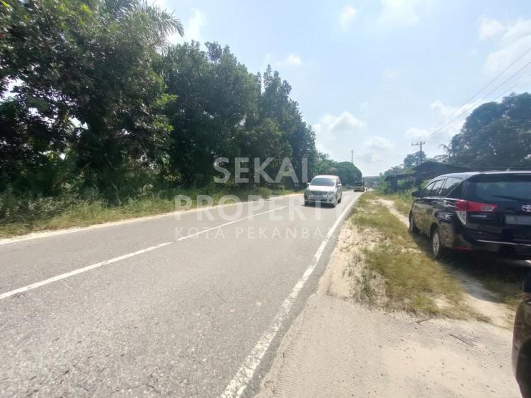 Dijual Tanah keras tepi jalan besar Lintas Sumatera KM 16