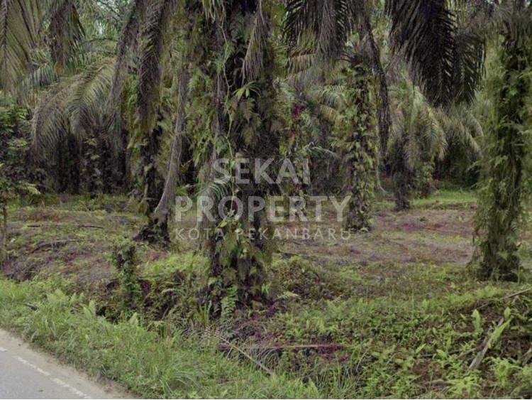 Dijual Sebidang tanah di tepi jalan Garuda Sakti KM23