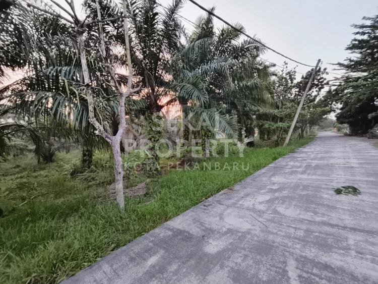 DIJUAL SEBIDANG TANAH LOKASI JL. TUANKU TAMBUSAI UJUNG - PEKANBARU